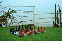 08_wooden_chess_beach_13