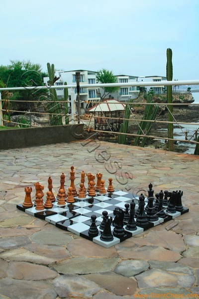 08_wooden_chess_beach_11.jpg