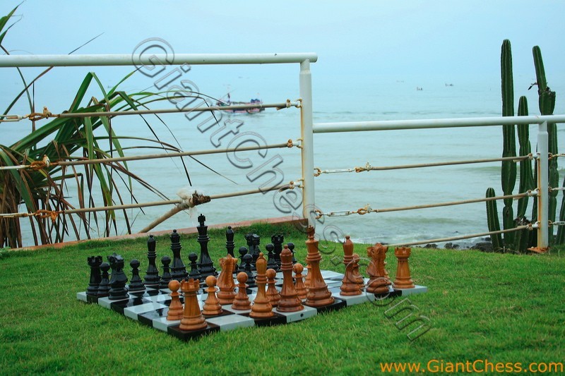 08_wooden_chess_beach_13.jpg