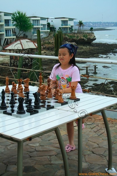 08_wooden_chess_beach_14.jpg