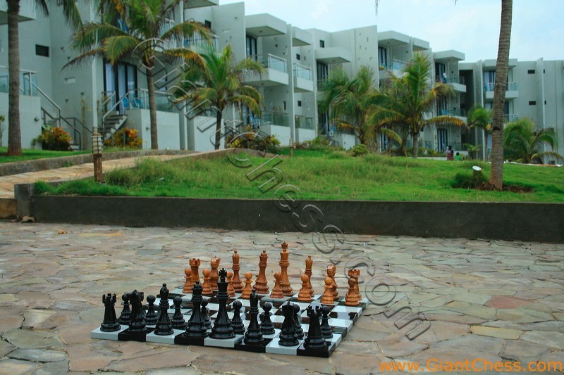 08_wooden_chess_beach_15.jpg