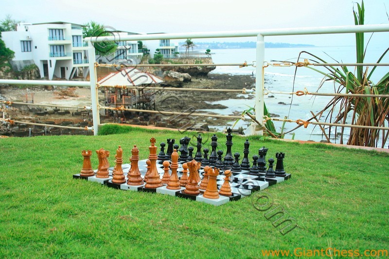 08_wooden_chess_beach_16.jpg