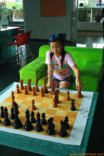 chess_checkers_board_05.jpg