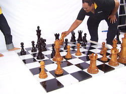 16" chess set