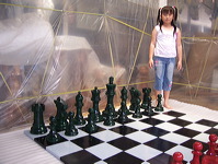 16inchi_color_chess_04