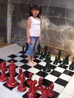 16inchi_color_chess_07