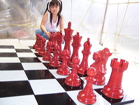 16inchi_color_chess_09