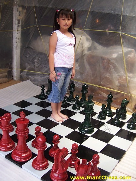 16inchi_color_chess_07.jpg