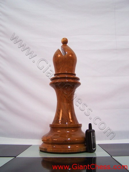 bishop_chess_piece_24_16.jpg
