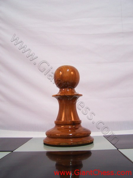 pawn_chess_piece_24_15.jpg