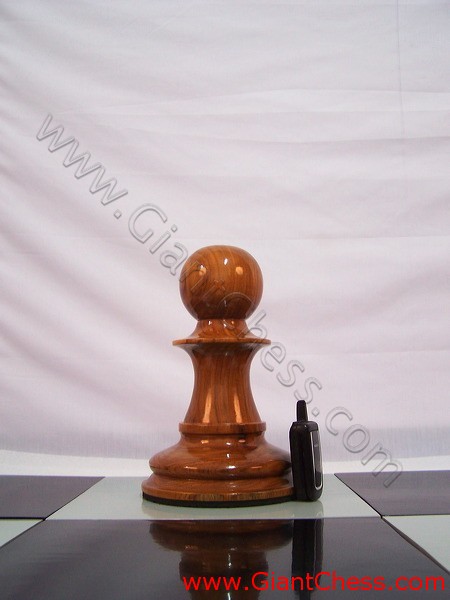 pawn_chess_piece_24_18.jpg