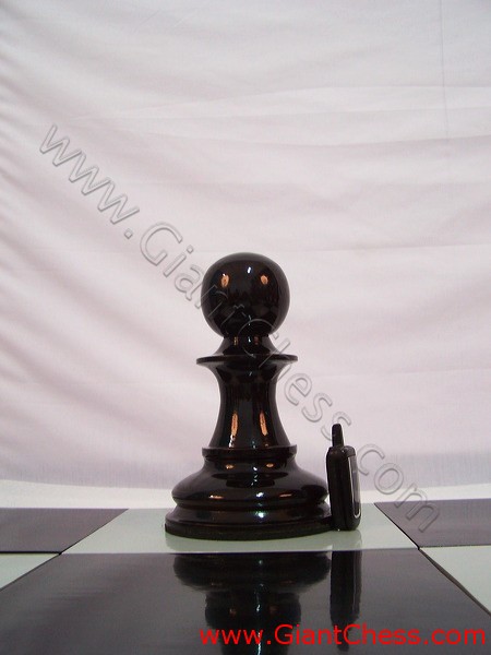 pawn_chess_piece_24_24.jpg