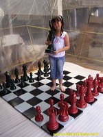 color_chess_set_10