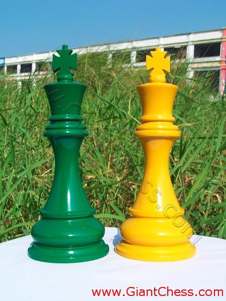 color_chess_set_16.jpg