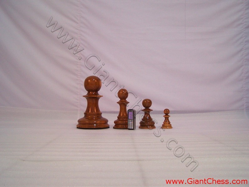 big_chess_pieces_12.jpg