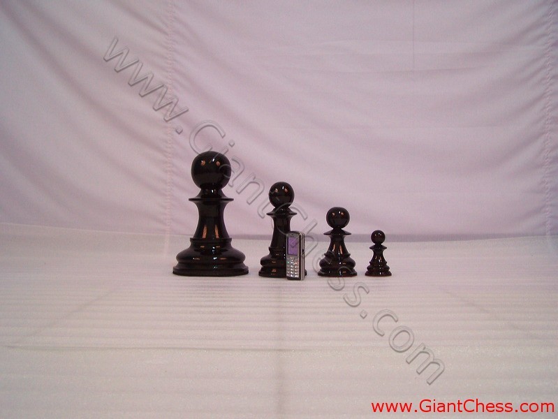 big_chess_pieces_24.jpg