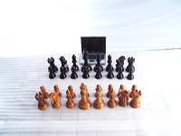 giant_chess_and_laptop_28