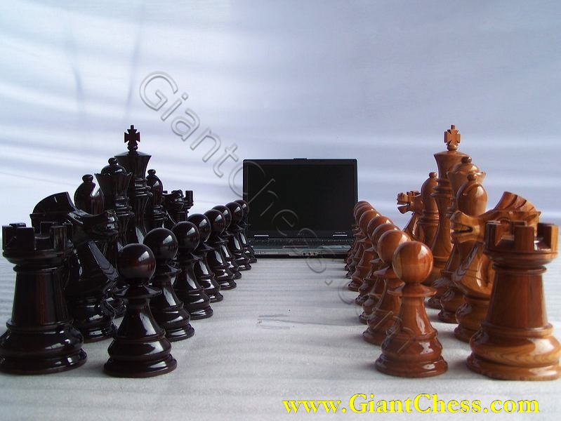 giant_chess_and_laptop_05.jpg