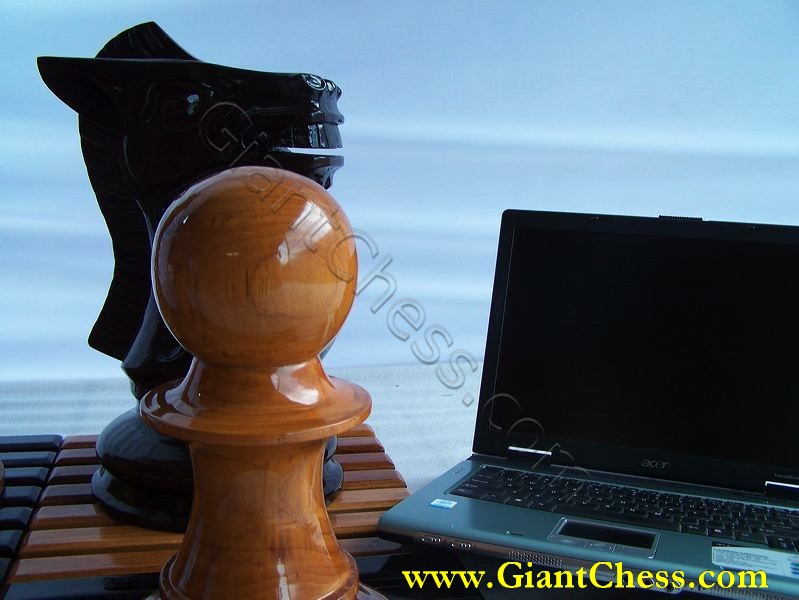 giant_chess_and_laptop_08.jpg