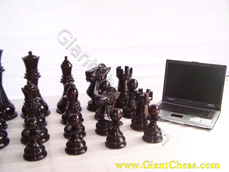 giant_chess_and_laptop_20.jpg