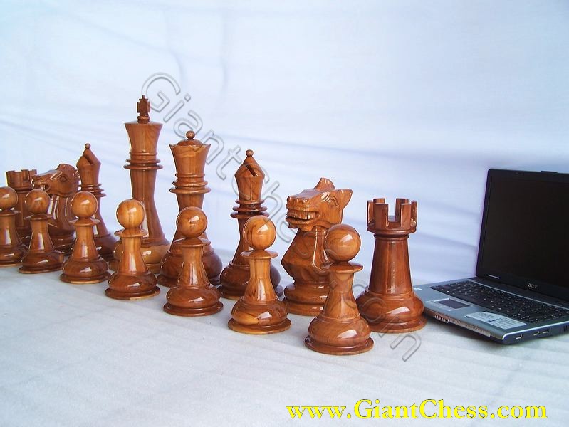giant_chess_and_laptop_23.jpg