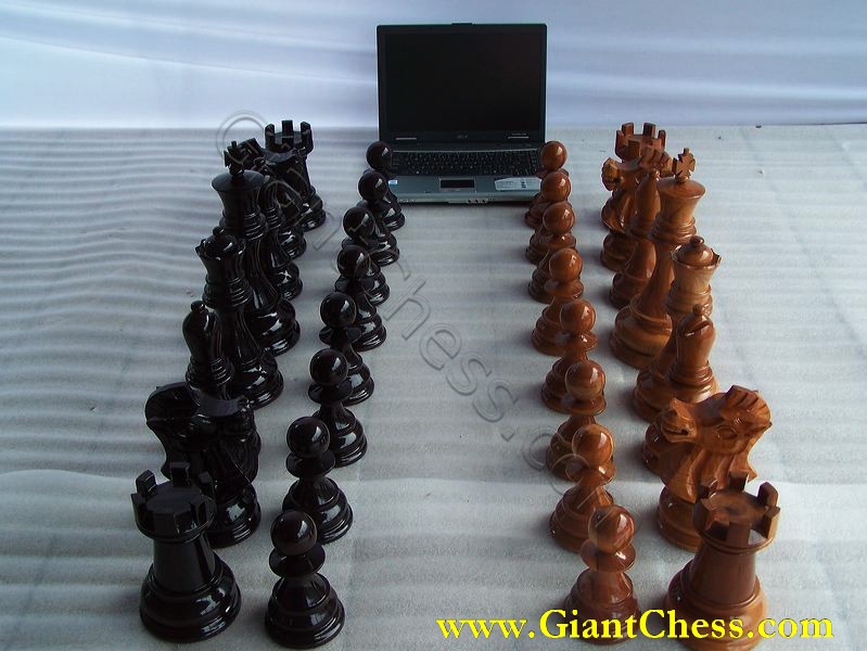giant_chess_and_laptop_29.jpg