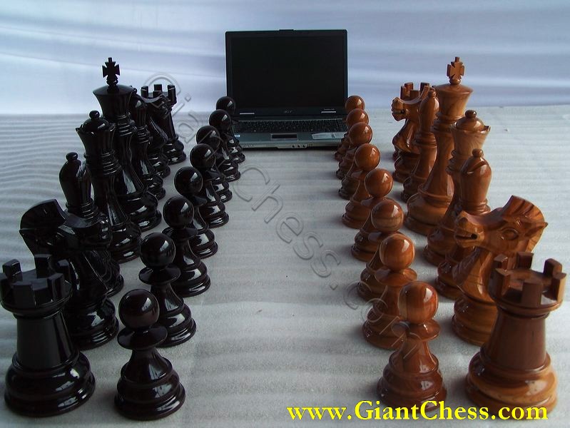 giant_chess_and_laptop_30.jpg