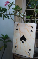 marble_card_games_06