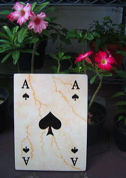 marble_card_games_11