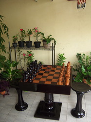 outdoor_chess_table_16