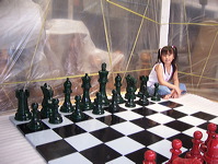 wooden_color_chess_04