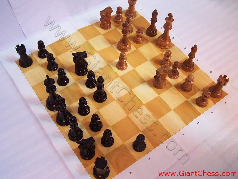fabric_chess_board_05.jpg