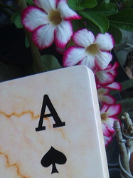 wooden marble card games