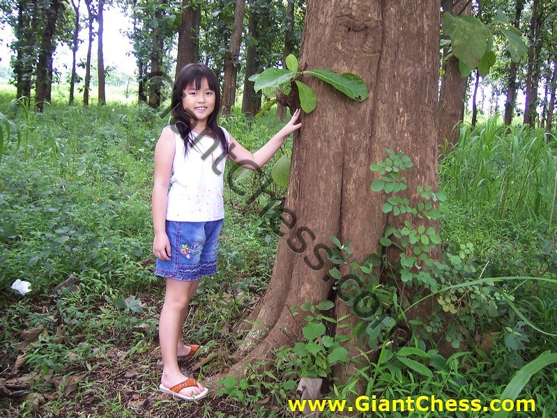 teak_tree_plantation_10.jpg