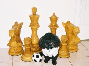 24 inchi giant chess