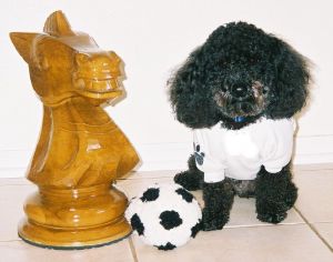 24 inchi giant chess