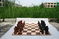 20cm_outdoor_03
