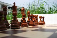8 inchi chess pieces