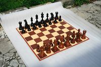 20cm_outdoor_07