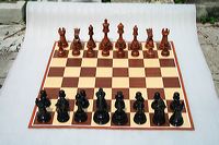 20cm_outdoor_11