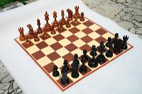 20cm_outdoor_13