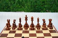 20cm_outdoor_15