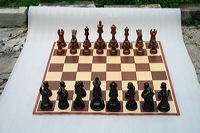 20cm_outdoor_16