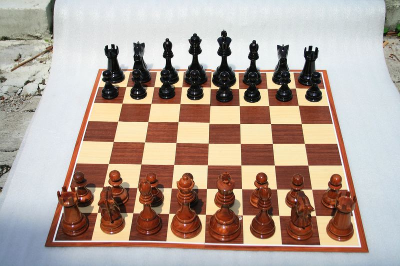 20cm_outdoor_05.jpg