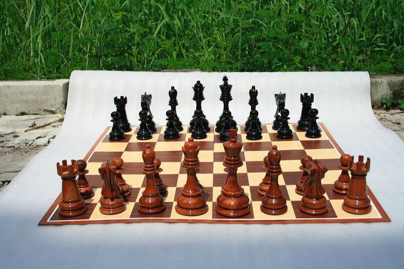 20cm_outdoor_06.jpg