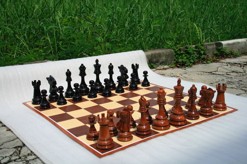 20cm_outdoor_08.jpg