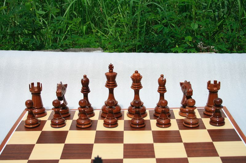 20cm_outdoor_15.jpg