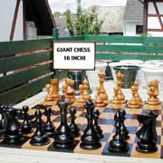 View 16 Inch Chess Galleries