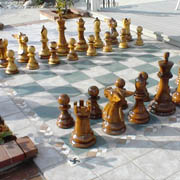 View 24 Inch Chess Galleries
