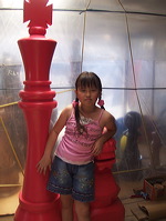 wooden_color_chess_10